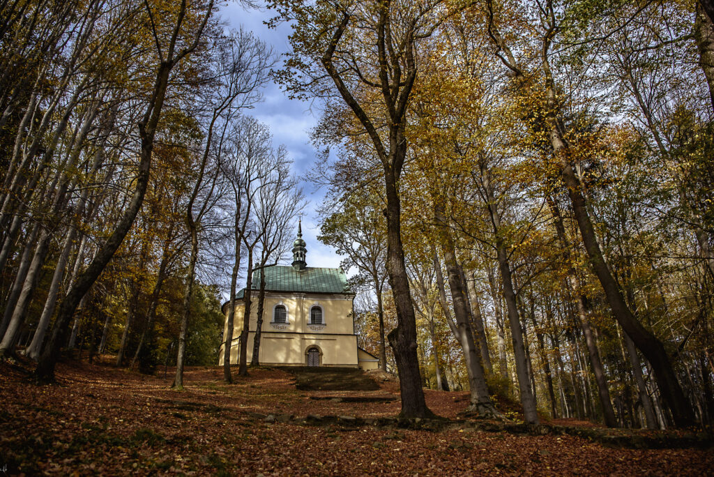 Dróżki kalwaryjskie jesień