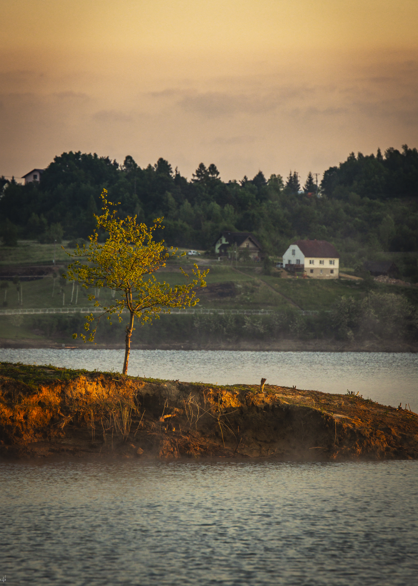 Jezioro Mucharskie drzewo z wodą